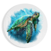 Caretta Caretta Cam Tablo.
