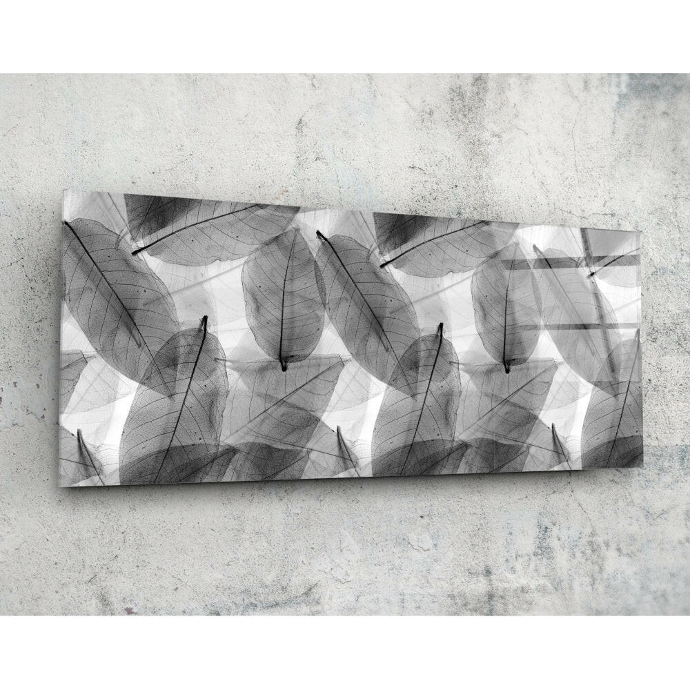 Siyah - Beyaz Yapraklar 92x36cm Cam Tablo.