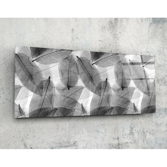 Siyah - Beyaz Yapraklar 92x36cm Cam Tablo.