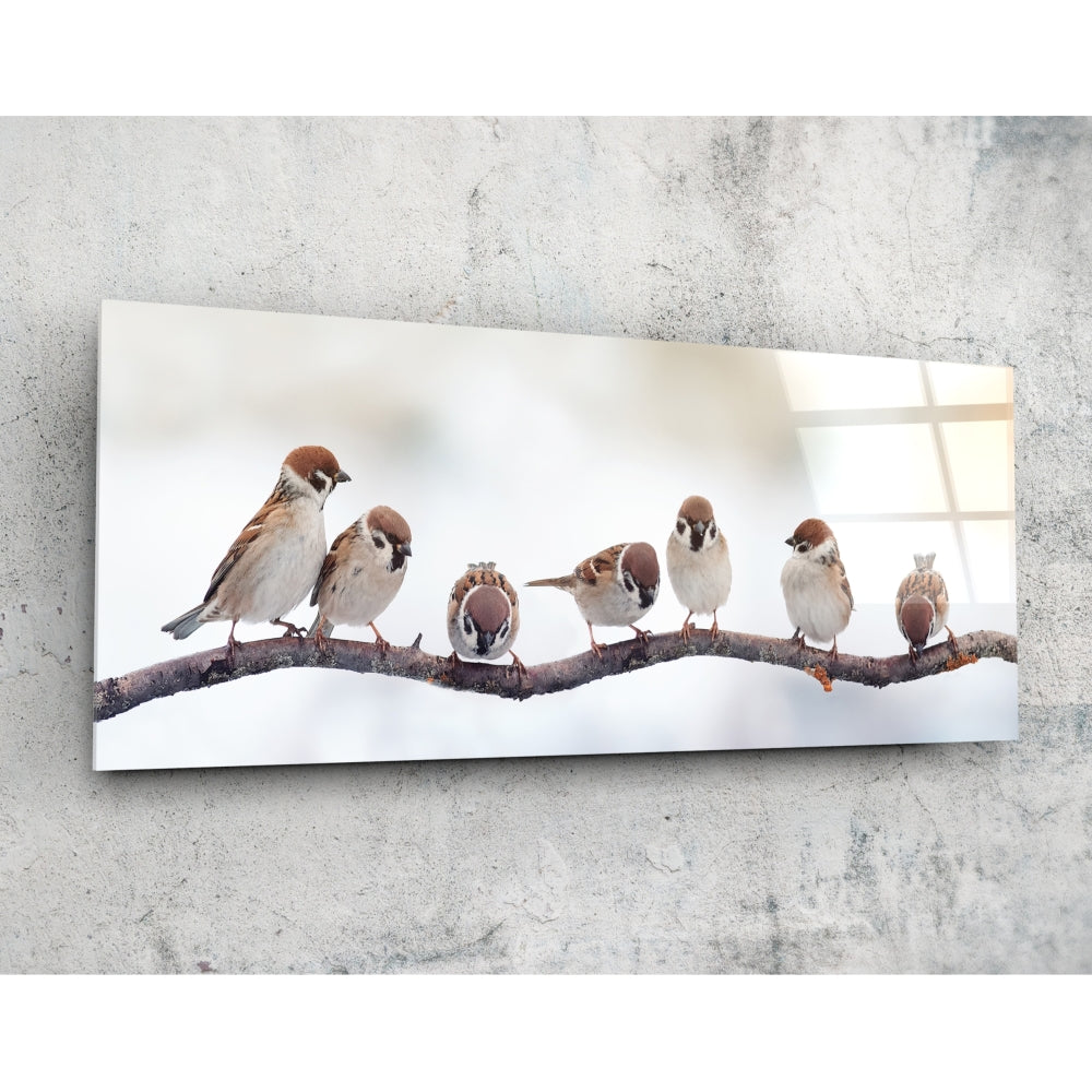 Kuşlar 92x36cm Cam Tablo.
