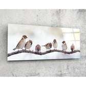 Kuşlar 92x36cm Cam Tablo.