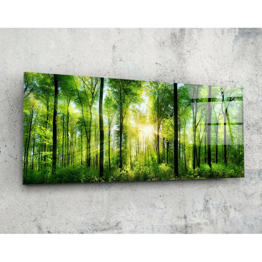 Orman 92x36cm Cam Tablo.