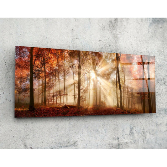 Orman 92x36cm Cam Tablo.