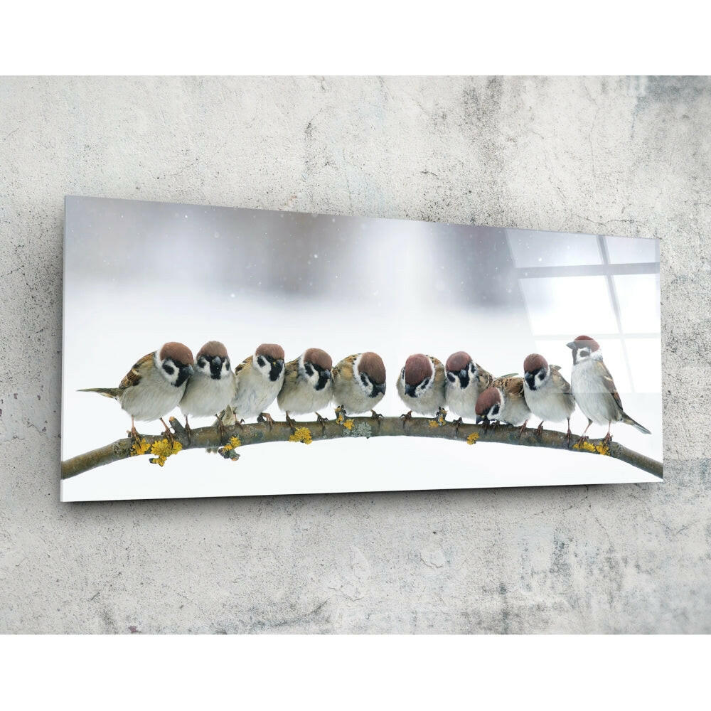 Kuşlar 92x36cm Cam Tablo