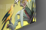 Papağan Cam Tablo | Insigne Art | Üstün Kalite